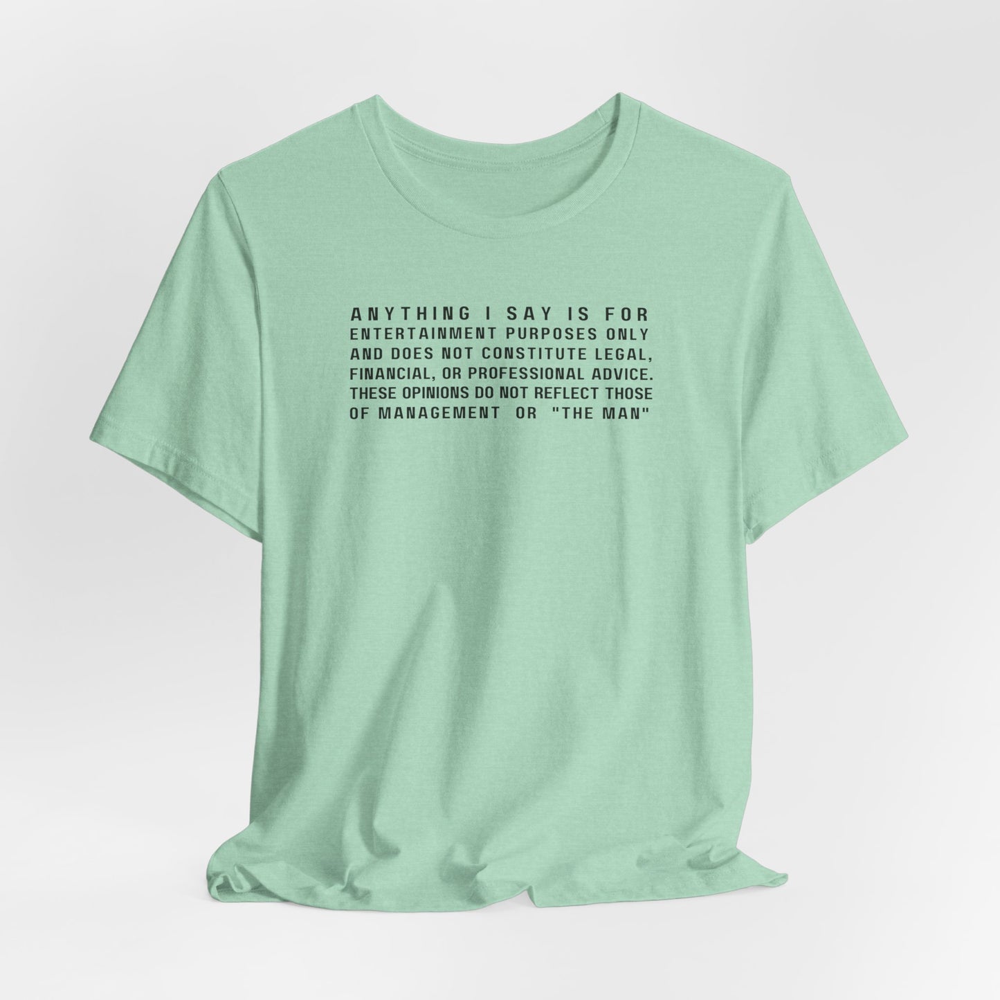 Financial Advice Disclaimer T-shirt